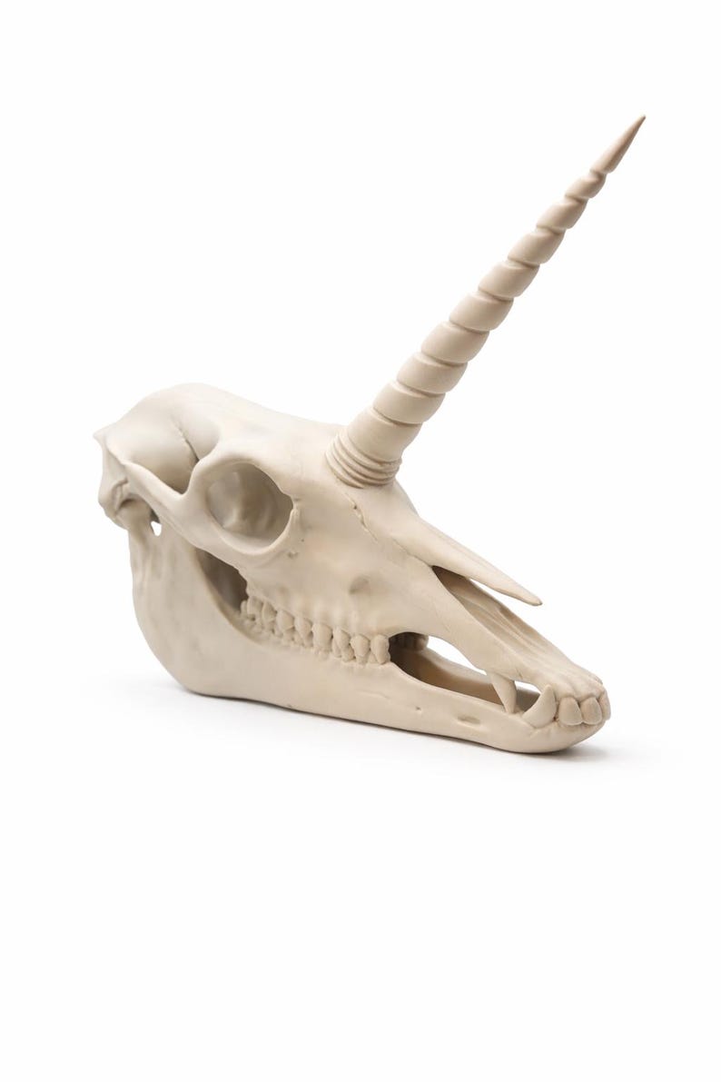 Unicorn skull fantasy decor statue photographed from a different display angle