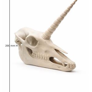 Fantasy unicorn skull statue displayed at an angle highlighting the elongated horn