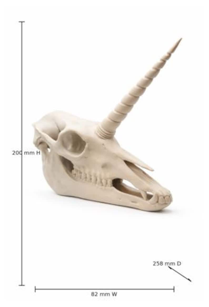 Fantasy unicorn skull statue displayed at an angle highlighting the elongated horn
