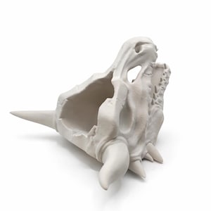 Rear angled view of the dragon skull planter showing the hollow interior and mounting orientation.