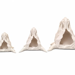 Top view of three dragon skull planters in different sizes showing hollow interior cavities and drainage openings on a white background.