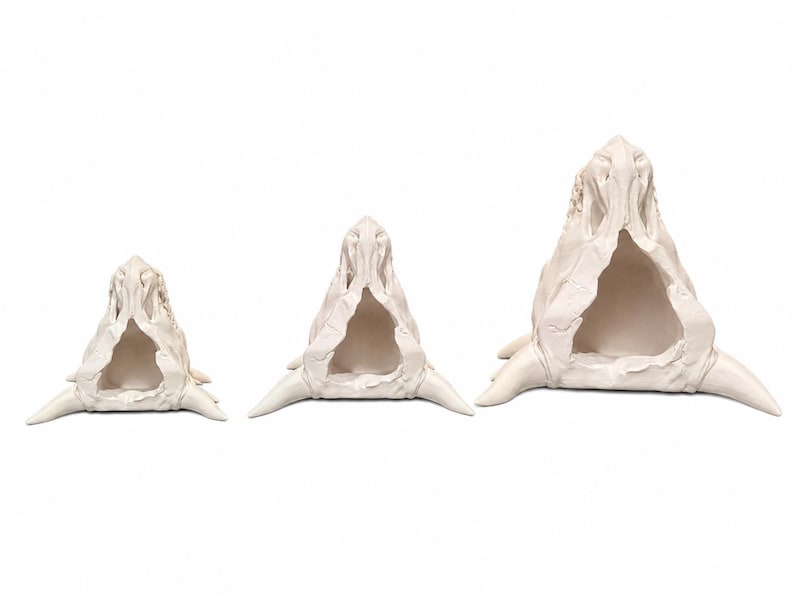 Top view of three dragon skull planters in different sizes showing hollow interior cavities and drainage openings on a white background.