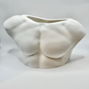 Male Torso Planter – Modern 3D Printed Body Vase Decor