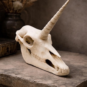 Unicorn skull gothic decor displayed on a stone surface in a dark fantasy setting