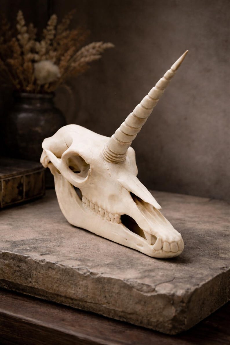 Unicorn skull gothic decor displayed on a stone surface in a dark fantasy setting