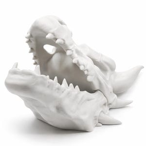 Angled side view of the dragon skull planter highlighting layered bone texture and open jaw.