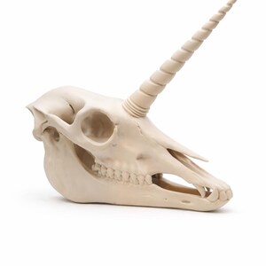Side view of a unicorn skull decor statue with detailed teeth and spiral horn