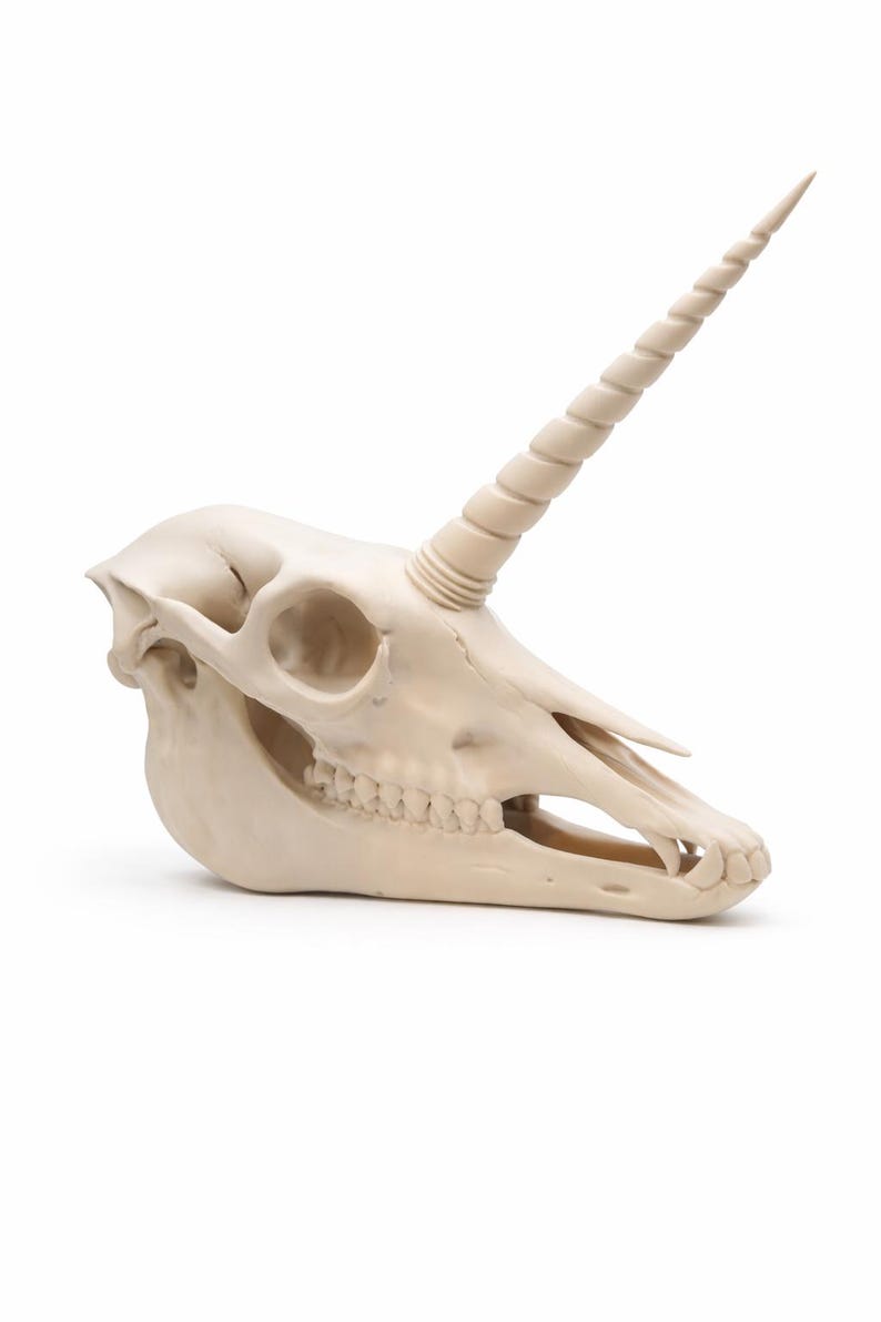 Side view of a unicorn skull decor statue with detailed teeth and spiral horn