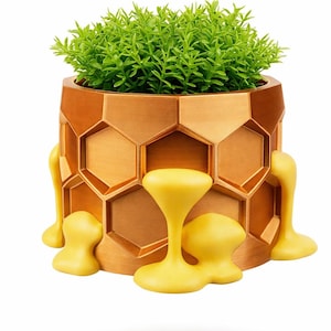 Honeycomb Planter – 3D Printed Succulent Pot with Dripping Honey Design