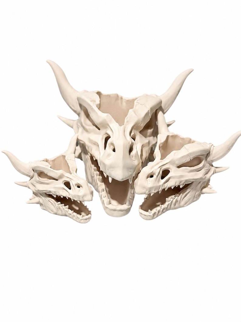 Three ivory dragon skull planters, one large and two smaller, arranged side by side with open jaws and curved horns on a white background.