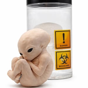 Alien in a Jar, Creepy Specimen Display, Sci Fi Oddities Decor, Horror Collectible