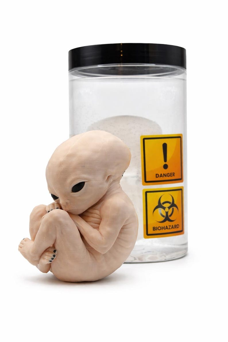 Alien in a Jar, Creepy Specimen Display, Sci Fi Oddities Decor, Horror ...