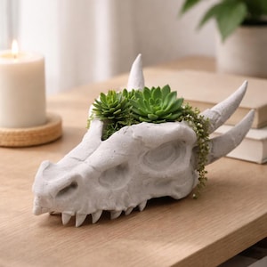Dragon Skull Planter – Gothic Fossil Plant Pot, Fantasy Home Decor, Unique Succulent Holder