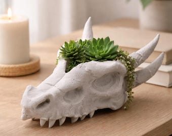 Dragon Skull Planter – Gothic Fossil Plant Pot, Fantasy Home Decor, Unique Succulent Holder