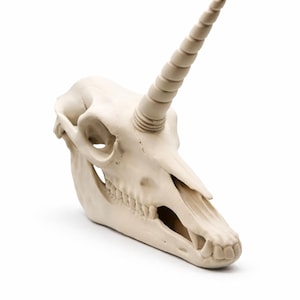 Unicorn skull decor statue with a long spiraled horn in a gothic fantasy style on a white background