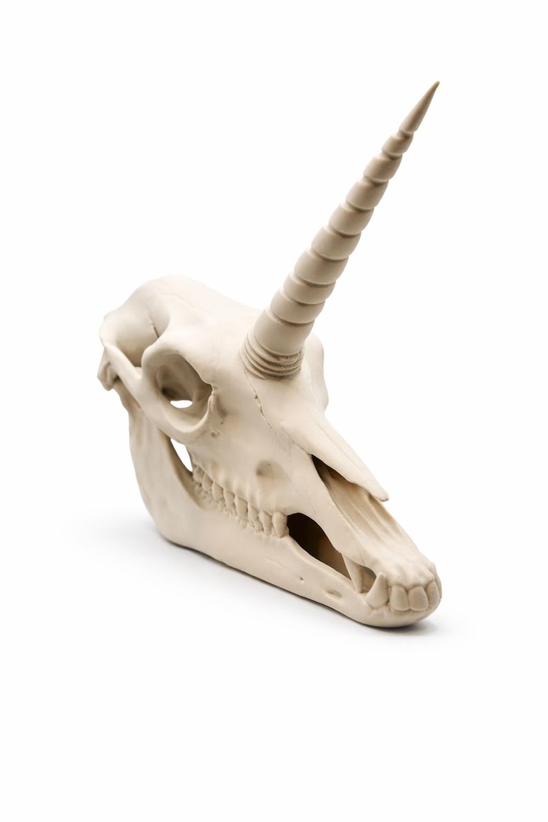 Unicorn skull decor statue with a long spiraled horn in a gothic fantasy style on a white background