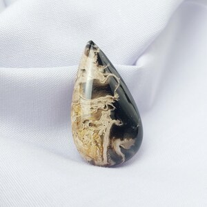 Petrified Fossil Palm Root Cabochon | Teardrop Shape Gemstone for Jewelry Making, Healing Crystal, or Unique Gift, One of a Kind Cabochon