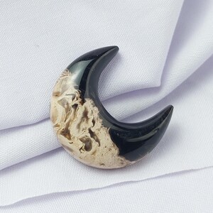 Ethereal petrified Palm Root Cabochon Embrace the Magic for Boho Jewelry, crescent moon falm root for jewelry making, one of a kind cabochon
