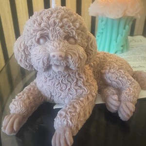 Peut inclure: Une bougie en forme de caniche brun clair avec une texture de fourrure détaillée, couchée. Une bougie allumée avec un motif floral et une base turquoise est à l'arrière-plan. La bougie caniche a une mèche.