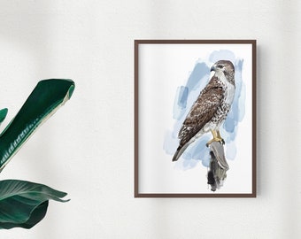 Red-tailed Hawk Art Print, Hawk Illustration, Digital Bird Drawing, Bird of Prey Wildlife Postcard