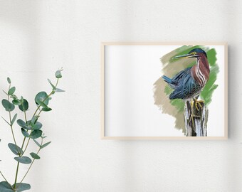 Green Heron Fine Art Print, Heron Illustration, Digital Bird Drawing, Wildlife Art Postcard