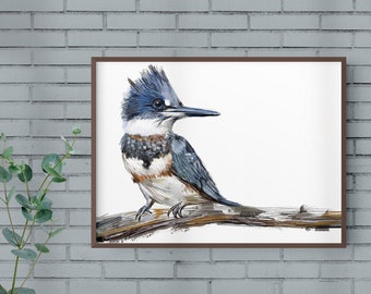 Belted Kingfisher Print, Bird Illustration, Digital Drawing, Animal Wildlife Art Postcard BK1