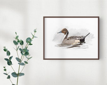 Northern Pintail Art Print, Duck Illustration, Digital Bird Drawing, Waterfowl Wildlife Postcard
