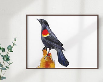 Red Winged Blackbird Print, Wildlife Illustration, Digital Bird Drawing, Postcard Art  BLK1