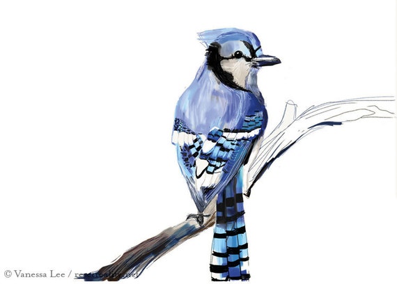Blue Jay Print Bird Illustration Digital Drawing Animal Etsy