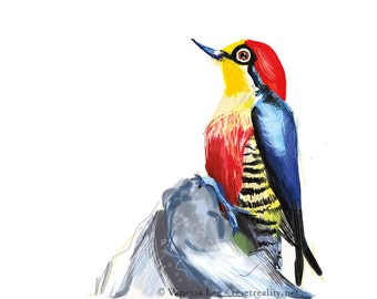 Yellow Fronted Woodpecker Bird Digital Drawing Print, Original Wildlife Art Postcard YFW