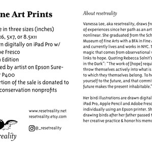 Cape May Warbler Print, Bird Illustration, Digital Drawing, Animal Wildlife Art Postcard MAY 画像 4