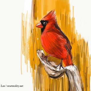 Northern Cardinal Print, Bird Illustration, Digital Drawing, Animal Wildlife Art Postcard NC3 image 2