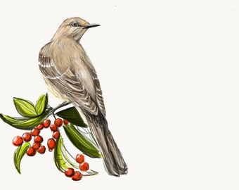 Northern Mockingbird Print, Wildlife Illustration, Cute Bird Drawing, Postcard Art  MB1