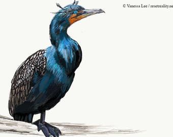 Double Crested Cormorant Print, Bird Illustration, Digital Drawing, Animal Wildlife Art Postcard  DCC