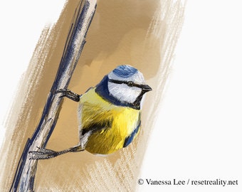 Eurasian blue tit Art Print, Bird Illustration, Digital Drawing, Animal Wildlife Illustration