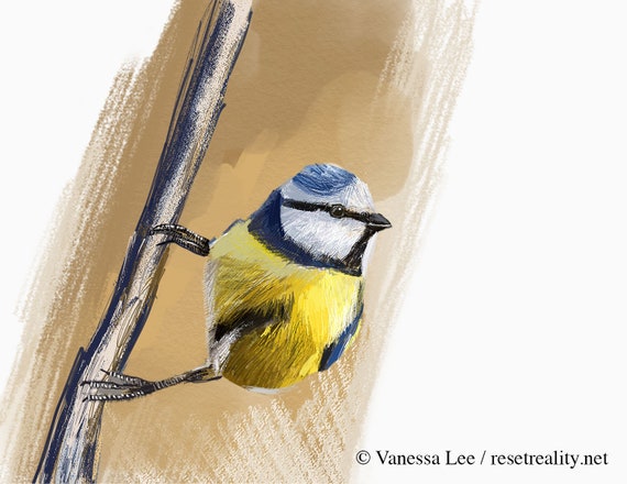 Lee Tit