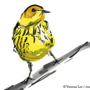 Cape May Warbler Print, Bird Illustration, Digital Drawing, Animal Wildlife Art Postcard MAY image 2