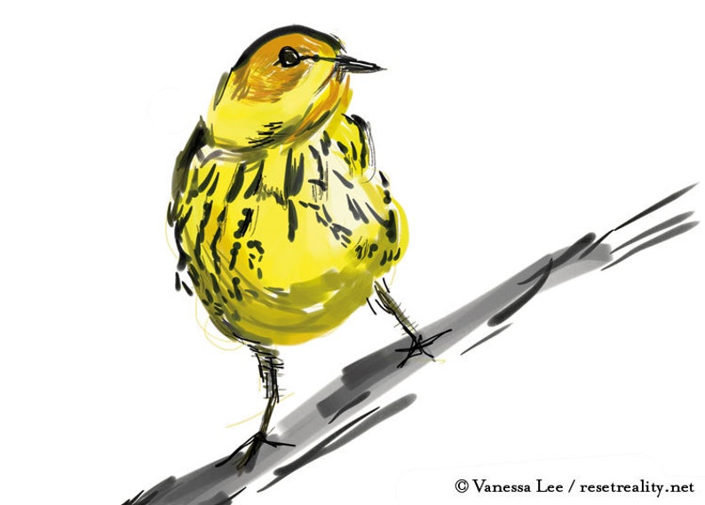 Cape May Warbler Print, Bird Illustration, Digital Drawing, Animal Wildlife Art Postcard MAY image 2