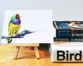 Gouldian Finch Print, Australian Bird Wall Decor, Wildlife Drawing, Art Postcard  GF1