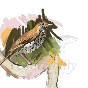 Wood Thrush Art Print, Songbird Illustration, Digital Bird Drawing, Animal Wildlife Postcard image 2