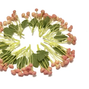 Może przedstawiać: Układ sztucznych łodyg kwiatowych z różowymi pąkami w kształcie jagód, zielonymi liśćmi i żółto-zielonymi łodygami. Łodygi ułożone są w okrąg na białym tle, odpowiednie do rękodzieła lub celów dekoracyjnych.