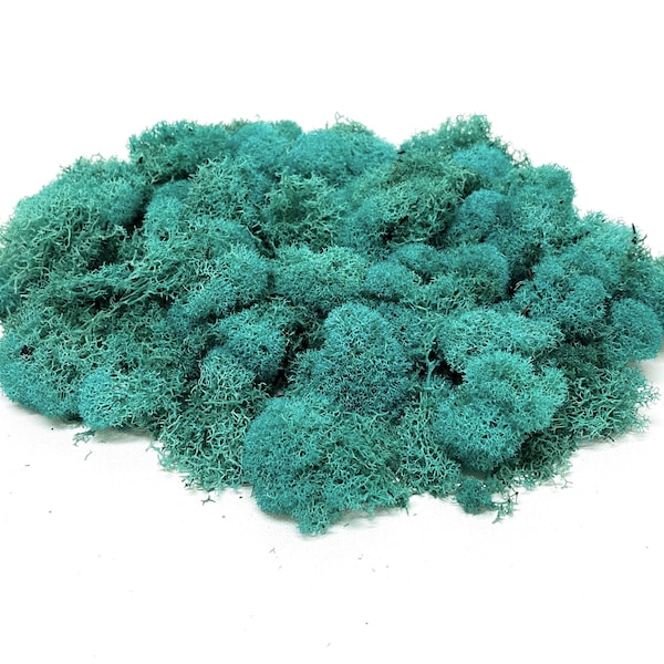 One Bag TEAL Preserved Reindeer Moss - Terrarium, Wreath, Fairy Garden, Flower Crown, Millinery, Wedding, DIY, Hair Accessories, Hat