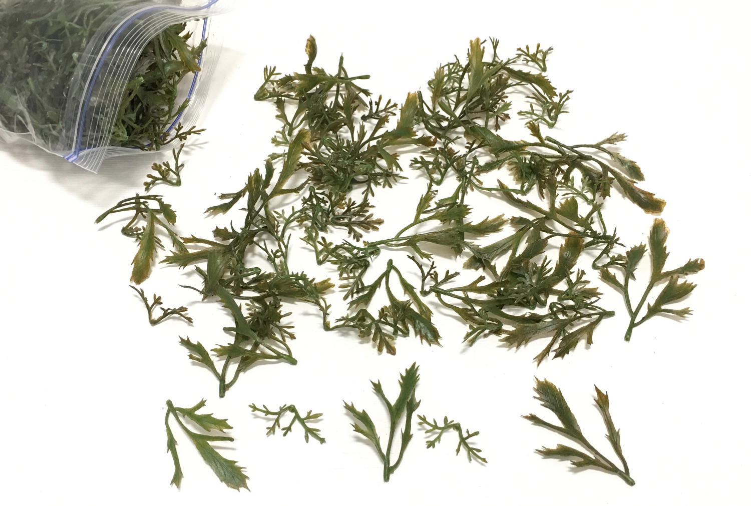 Plastic Greenery Etsy