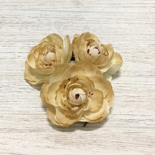 Beige Ranunculus - Etsy