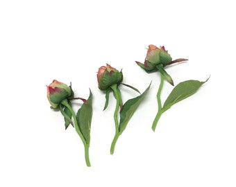 3 CORAL PINK Artificial Peony Buds on Short Stems - Artificial Flowers, Flower Crowns, Wedding Flowers, Bouquet, Corsage, Hair Accessories