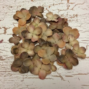 50 Dry Look Hydrangea Blossoms in Shades of Brown Artificial Flowers, Silk Flowers, Scrapbooking, Wedding, Flower Crown, Millinery image 3