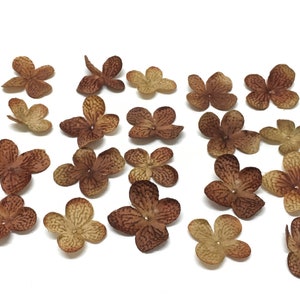 40 Deep Brown Artificial Hydrangea Blossoms Artificial Flowers, Flower Petals, Silk Flowers, Embellishment, Scrapbooking, Hair Accessories image 5