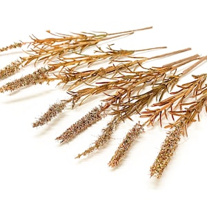 9 Metallic Bronze Gold Artificial Heather Stems - Artificial Flowers, Silk Flowers, Flower Crown, Millinery, Christmas Decorations, Wreath
