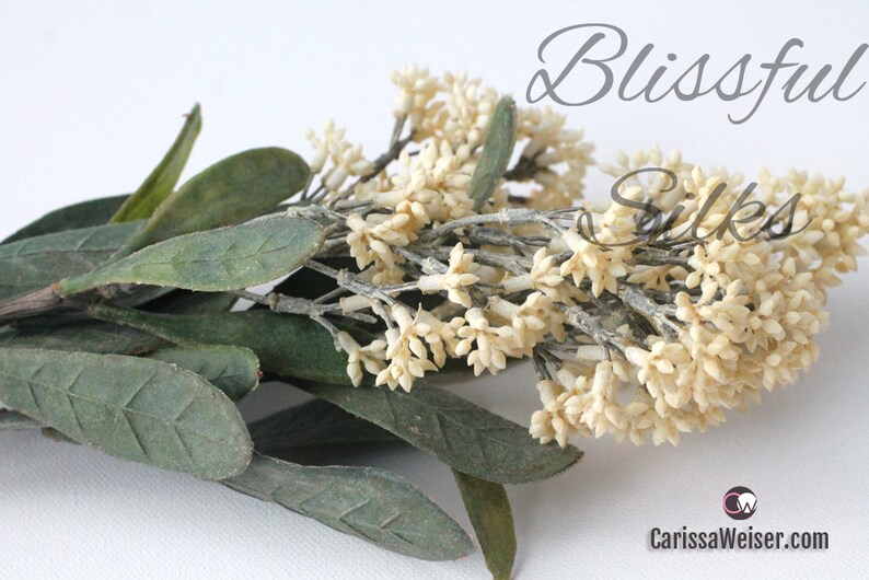 Short Stems Wedding Crowns Halos Flower Crowns Three ANTIQUE CREAM Skimmia Flower Clusters Artificial Flowers