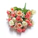 see more listings in the Roses/Dahlias/Daisies section